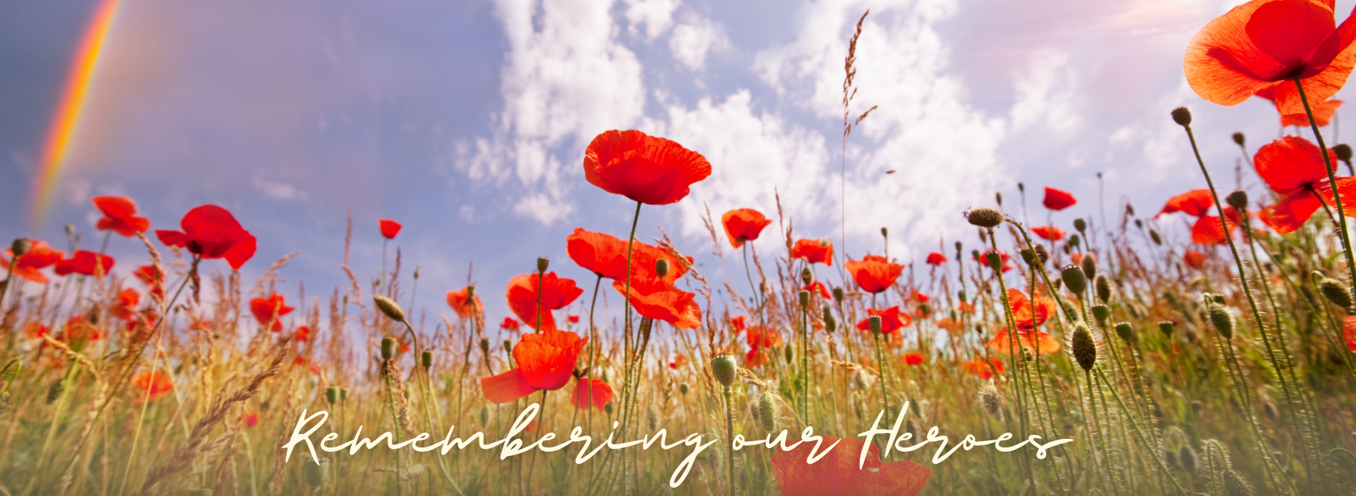 red poppy field with blue sky and rainbow with text remembering our heroes