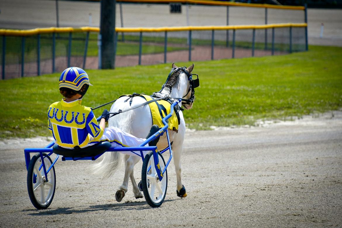Photo of junior racer and mini pony